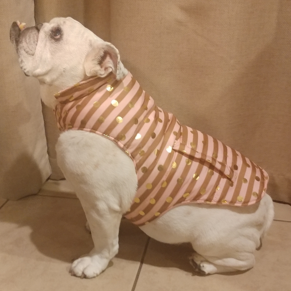 TOP PAW Pink Gold Stripe Dog Coat Large